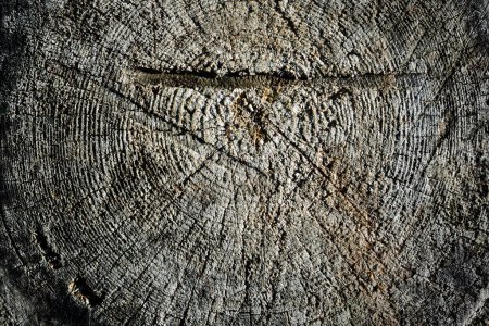 Foto de Textura de madera. textura de madera vieja. fondo abstracto. - Imagen libre de derechos
