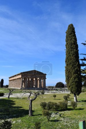Foto de Templos griegos antiguos en Paestum, Grecia - Imagen libre de derechos