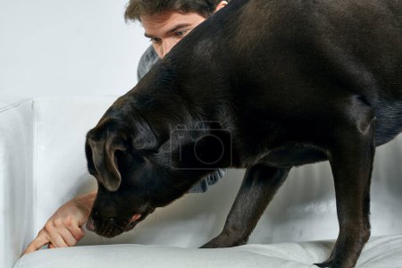 Téléchargez les photos : Portrait de chien noir et homme à la maison - en image libre de droit