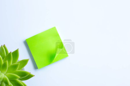 Photo for Green leaf on white background - Royalty Free Image