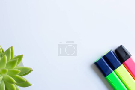 Téléchargez les photos : Ensembles de surligneurs colorés et plante maison en mise au point douce sur fond blanc - en image libre de droit