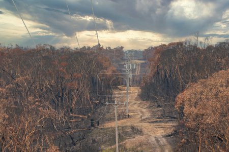 Foto de Líneas de transmisión eléctrica afectadas por incendios forestales en las Montañas Azules en Australia - Imagen libre de derechos