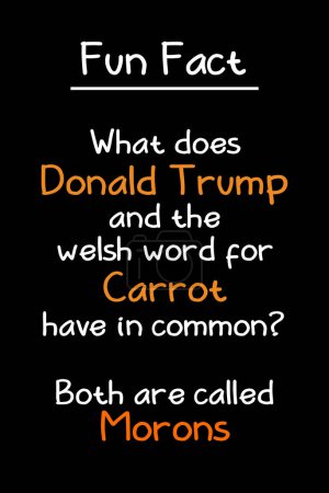 Foto de Donald Trump y la zanahoria galesa en segundo plano - Imagen libre de derechos