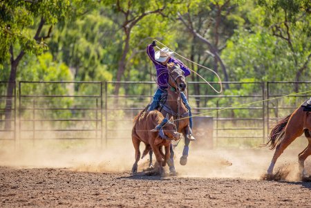 Photo for Australian Team Calf Roping At Country Rodeo - Royalty Free Image