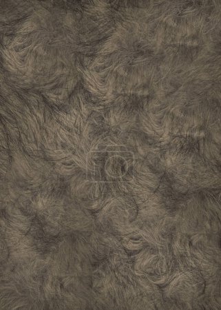 Photo for Short-haired skin of a wild animal is gray-brown in color .Texture or background - Royalty Free Image