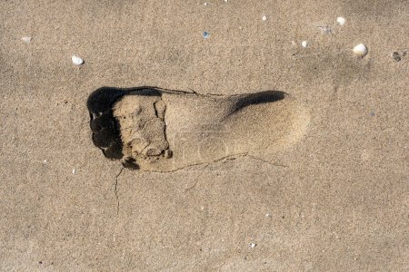 Photo for Human footprints on sandy beach, close up view - Royalty Free Image