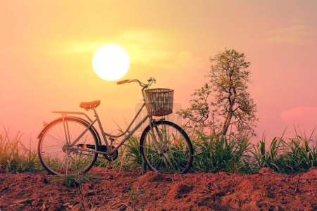 Photo for Beautiful vintage bicycle with sunset background - Royalty Free Image