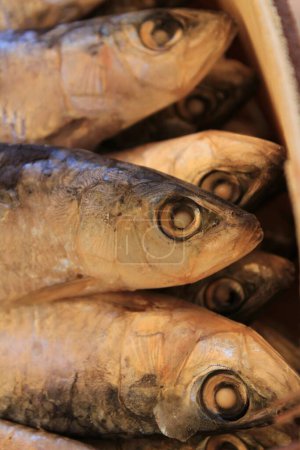 Téléchargez les photos : "Produits de poisson salé à vendre dans un étal de marché" - en image libre de droit
