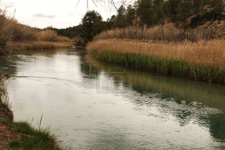 Foto de Cabriel River on its way through Casas del Rio village, Albacete, Spain. - Imagen libre de derechos