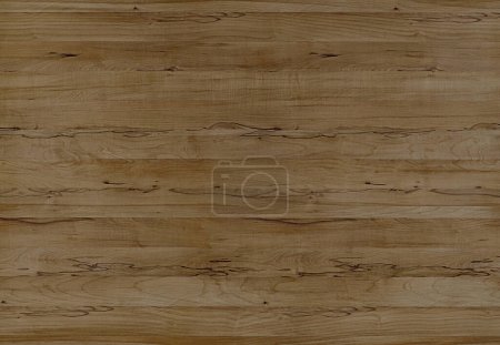 Foto de La superficie de textura de madera de teca gradiente foto de cerca. - Imagen libre de derechos
