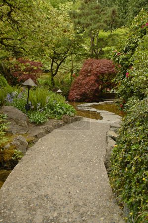 Téléchargez les photos : Passage dans le jardin japonais - en image libre de droit