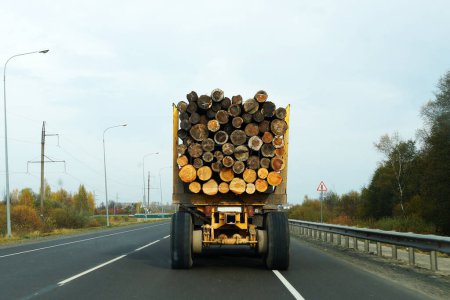 Téléchargez les photos : Un camion sur l'autoroute transporte des bûches - en image libre de droit