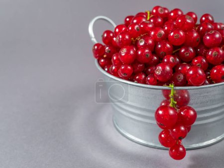 Foto de Un recipiente de metal lleno de grosellas rojas - Imagen libre de derechos