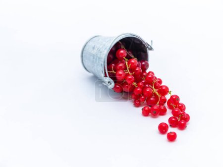 Foto de Un recipiente de metal lleno de grosellas rojas - Imagen libre de derechos