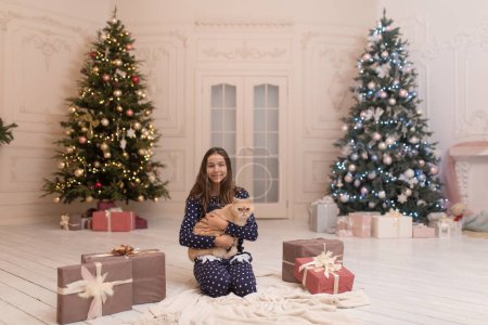 Téléchargez les photos : La fille passe les vacances de Noël avec son chat - en image libre de droit