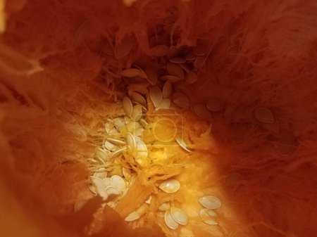 Photo for Orange inside of a pumpkin with seeds - Royalty Free Image