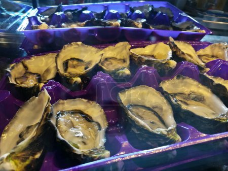 Téléchargez les photos : Huîtres rocheuses de Sydney prêtes à manger dans une assiette - en image libre de droit