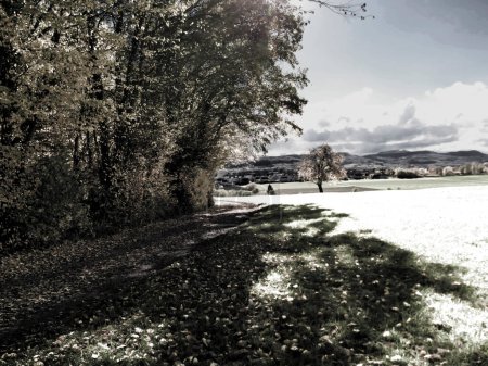 Photo for Infrared photo of a landscape in autumn - Royalty Free Image