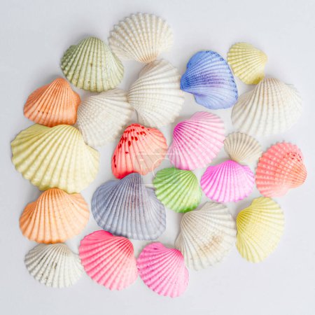 Photo for Colorful shells close up - Royalty Free Image