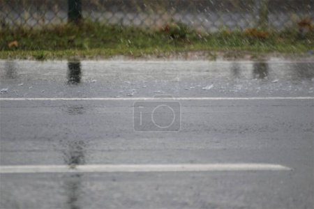 Photo for Dark grey a asphalt road and some grass by the roadside after the rain - Royalty Free Image