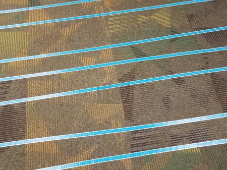 Photo for Rug or carpet with blue lines or markings - Royalty Free Image