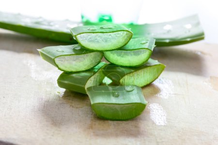 Téléchargez les photos : Vue rapprochée de l'Aloe vera bio vert frais - en image libre de droit