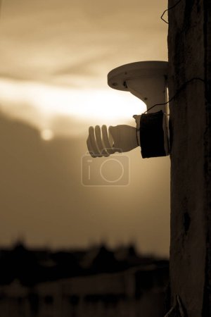 Téléchargez les photos : Ampoule à économie d'énergie - en image libre de droit