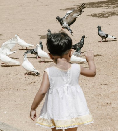Téléchargez les photos : Petit enfant jouer avec des pigeons - en image libre de droit