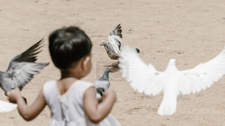 Téléchargez les photos : Petit enfant jouant avec des pigeons dans un parc - en image libre de droit