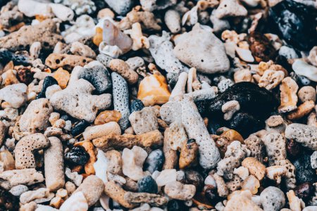 Téléchargez les photos : Mélange de pierre dans la plage gros plan - en image libre de droit