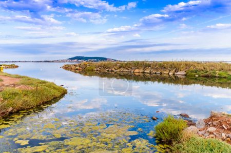 Téléchargez les photos : Paysage de la lagune de Thau à l'embouchure du ruisseau Pallas à Mze, à Hrault, en Occitanie, France. - en image libre de droit