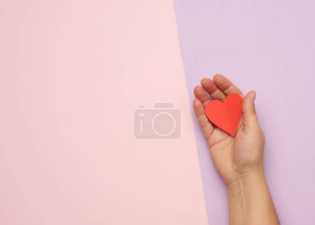 Téléchargez les photos : "main féminine tenant coeur de papier rouge sur un fond rose" - en image libre de droit