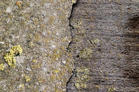 Photo for Detailed view on aged concrete walls with cracks - Royalty Free Image
