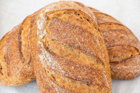 Photo for Organic country breads made with sourdough with different cereal - Royalty Free Image