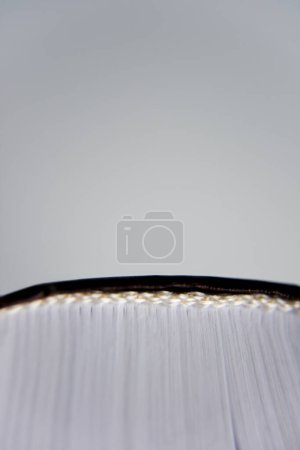 Photo for Old book, macro view from the bottom - Royalty Free Image
