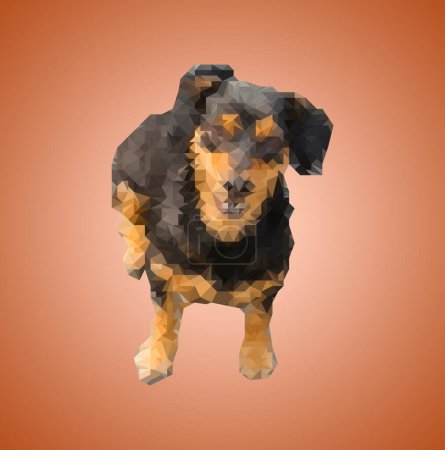 Photo for Poly Black-brown Dachshund sit down. - Royalty Free Image