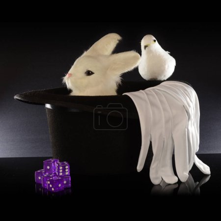 Téléchargez les photos : Chapeau magicien avec lapin et colombe - en image libre de droit