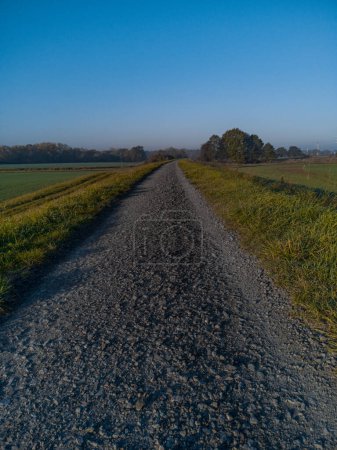 Téléchargez les photos : Long chemin plein de petites pierres entre champs et buissons verts et jaunes - en image libre de droit