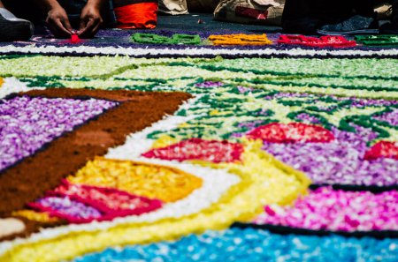 Téléchargez les photos : "Préparation de tapis floraux dans la semaine sainte ou la semaine de Pâques" - en image libre de droit