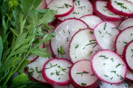 Téléchargez les photos : Couper en pour salade radis et roquette verte
. - en image libre de droit