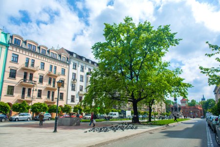 Téléchargez les photos : Un endroit attiré. Un troupeau de pigeons paissent sur la ruelle de la ville. Krakw, Pologne - 05.15.2019. - en image libre de droit