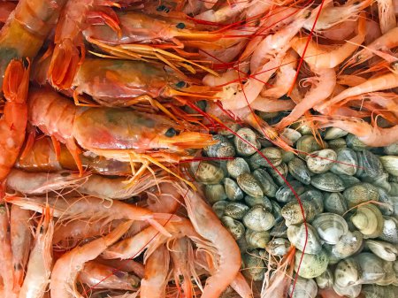 Foto de Diferentes tipos de camarones y conchas marinas, vista cercana - Imagen libre de derechos