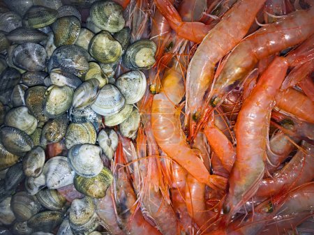 Téléchargez les photos : Grandes crevettes rouges et coquillages gris, vue de près - en image libre de droit