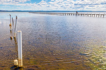 Téléchargez les photos : Oiseaux aquatiques assis sur des poteaux dans l'eau à l'entrée de l'Australie régionale - en image libre de droit