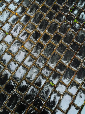 Photo for Wet black bridge pavement, rectangular shape, 45 degrees angle - Royalty Free Image