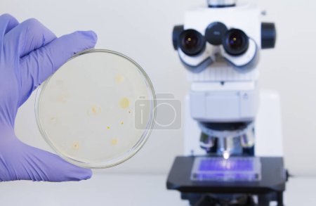 Photo for Microscopic bacteria, close up - Royalty Free Image