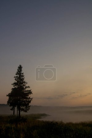 Foto de Amanecer sobre la orilla del estanque. Rayos matutinos del sol sobre el estanque. - Imagen libre de derechos