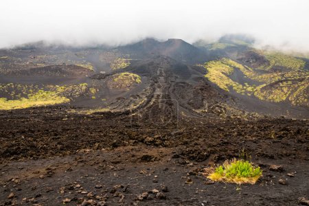 Foto de "Mount Etna volcanic landscape and its typical summer vegetation" - Imagen libre de derechos