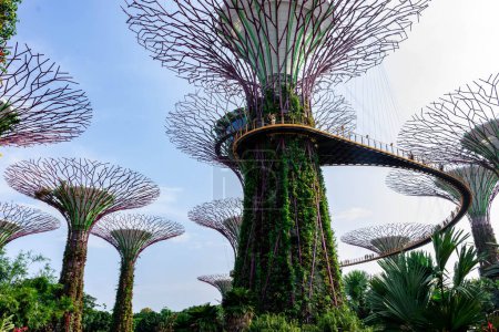 Foto de "supertree gardens by the bay singapore, Singapur, 12 de octubre de 2018" - Imagen libre de derechos