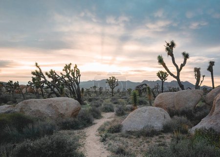 Téléchargez les photos : Desert Glow, vue de jour - en image libre de droit